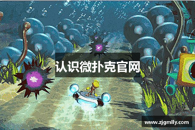 认识微扑克官网